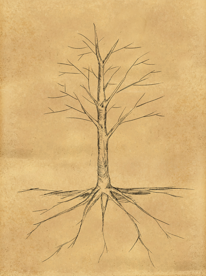 illustration of a tree on a brown background