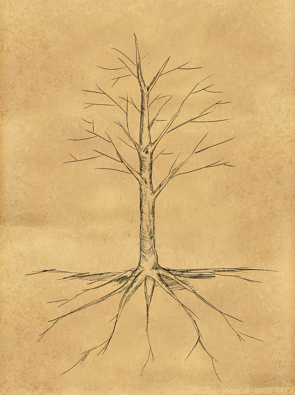 New-Tree-Home illustration of a tree on a brown background